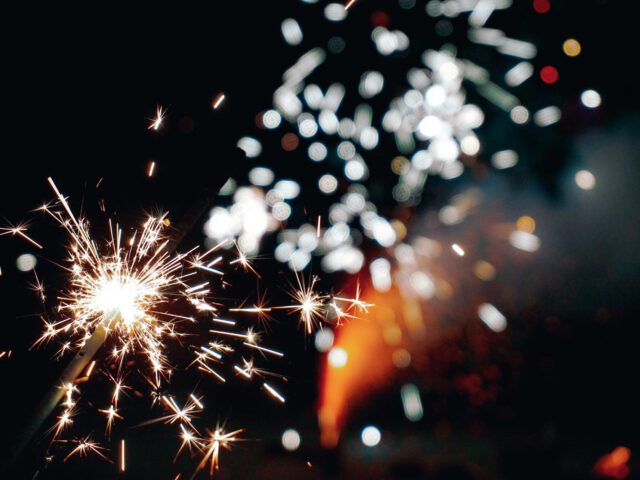 Tipps rund um Silvester mit Hund